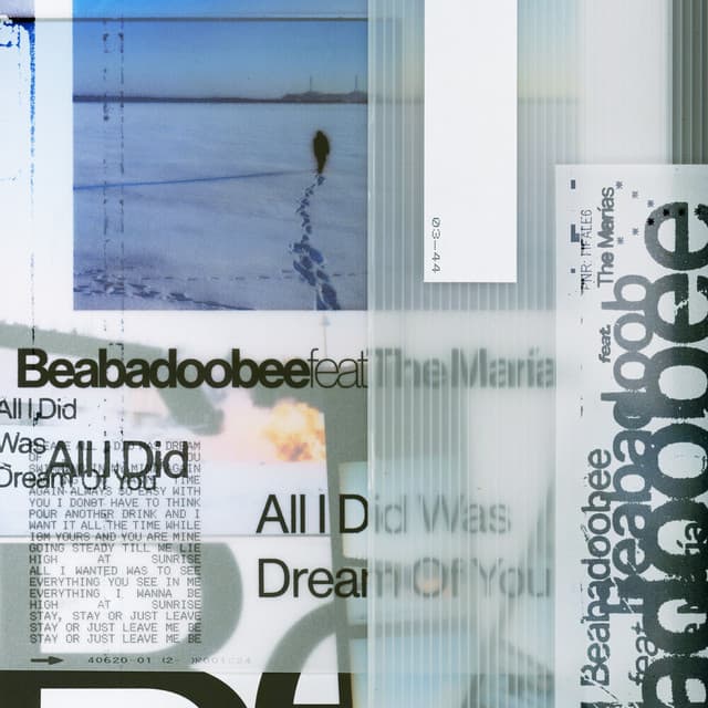 All I Did Was Dream of You (feat. The Marías)